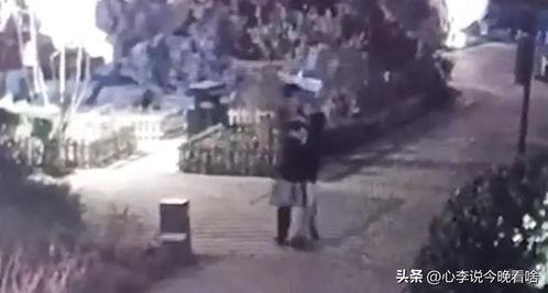 永济吃瓜事件视频,一场网络热议的真相揭秘