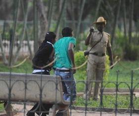 游街示众吃瓜视频,游街示众吃瓜视频引发热议