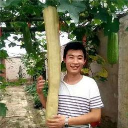 三个小伙吃瓜视频全集,揭秘三位少年吃瓜视频背后的故事