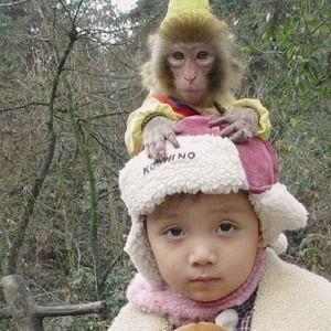 吃瓜星际圈打视频,揭秘神秘视频背后的宇宙奥秘