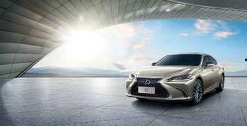 深圳雷克萨斯吃瓜事件视频,一场引发热议的豪车争议