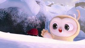 双象吃瓜视频大全集高清,揭秘高清视频大全集的精彩瞬间